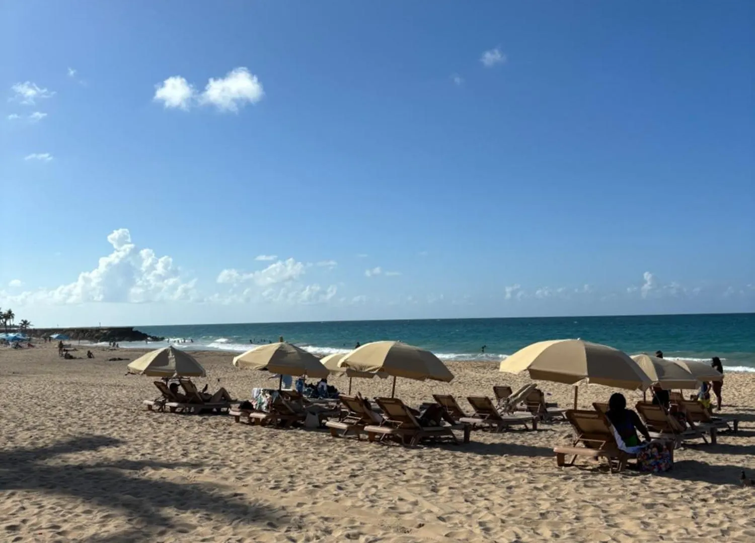 Downtown Condado Tropical Studio San Juan Apartment